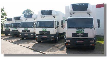 dieses Foto in gross